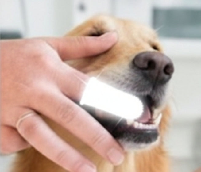 Cepillo Dental Dedo para Perros – Sonrisas Limpias y Aliento Fresco