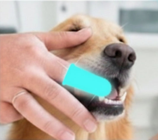 Cepillo Dental Dedo para Perros – Sonrisas Limpias y Aliento Fresco